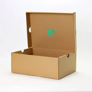 shoe storage box with lid